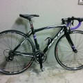 リドレーのリズ