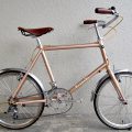 ビアンキ ミニベロ フラット10 MINIVELO FLAT10の買取実績